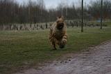 BRIARD 282